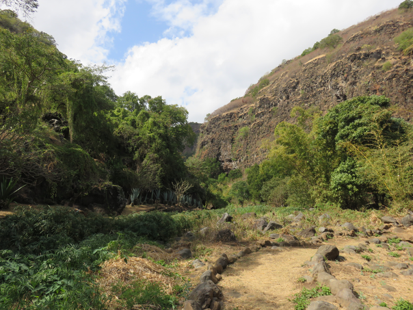 8 - Le sentier dans la ravine Divon (D'Hibon)