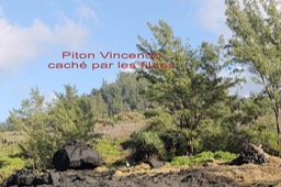 Cap Jaune -Piton Vincendo