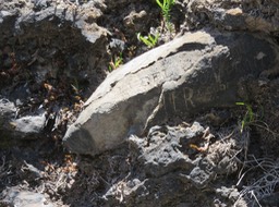 5 - Inscription sur une pierre lisse enchassée dans la lave au-dessus de l'entrée de la caverne.