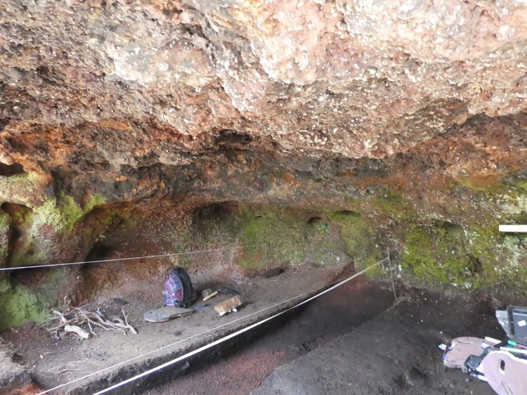 Caverne des Lataniers P1670659