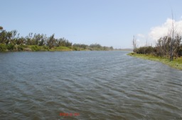 Vue de l'étang longeant la côte direction nord DSC_0031