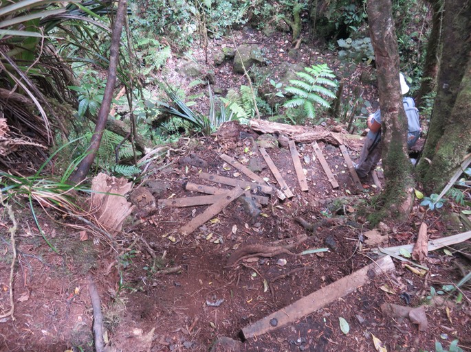 7 Exemple du travail de sécurisation du sentier sur une descente raide vers une ravine - chaque marche en tamarin des Hauts pèse 6 à 8 kg, transportés à dos d'homme