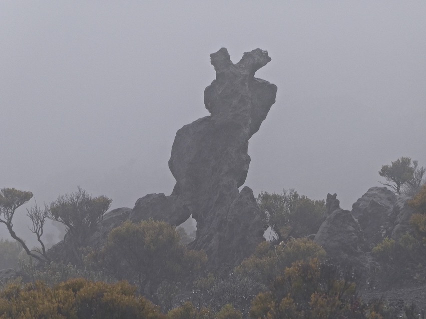 créature étrange dans la brume .P1002450